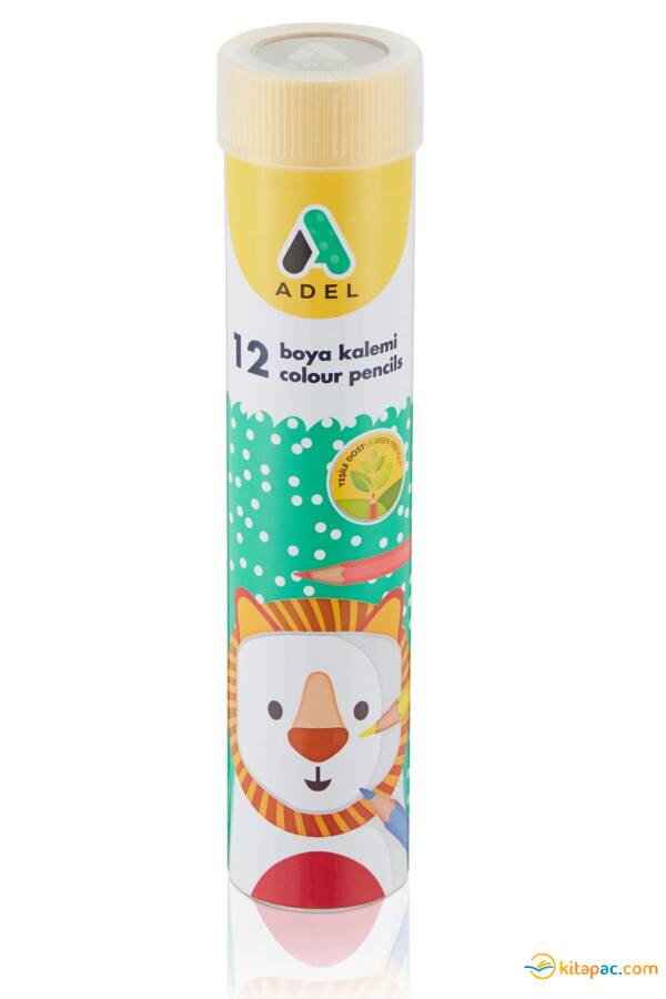 ADELAND 12 Renk KURU BOYA METAL TÜP - 1