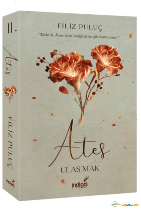 ATEŞ ULAŞMAK - Ciltli - Filiz PULUÇ - 1
