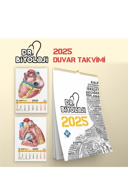 BARIŞ HOCA DR. BİYOLOJİ POSTER TAKVİM - BARIŞ HOCA