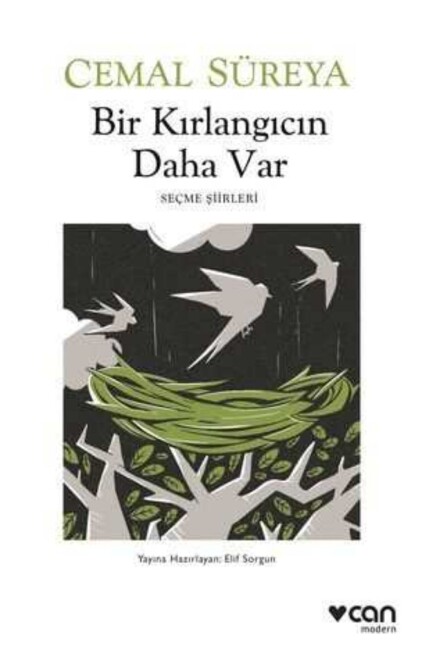 BİR KIRLANGIÇ DAHA VAR - CAN MODERN YAYINLARI