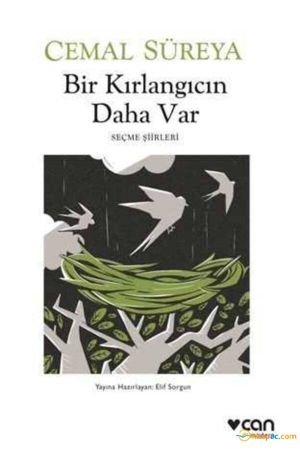 BİR KIRLANGIÇ DAHA VAR - 1