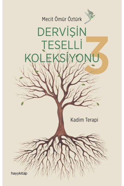 DERVİŞİN TESELLİ KOLEKSİYONU - 3 - HAYY YAYINLARI
