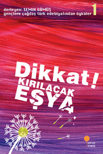 DİKKAT KIRILACAK EŞYA - GÜNIŞIĞI KİTAPLIĞI 