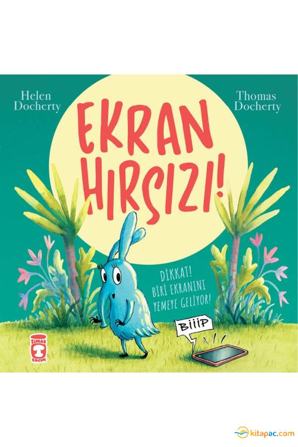 EKRAN HIRSIZI - 1