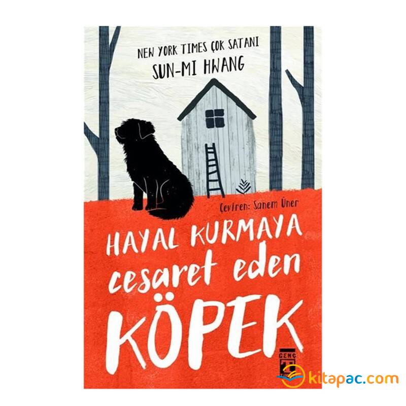 HAYAL KURMAYA CESARET EDEN KÖPEK ... SUN Mİ HWANG - 1