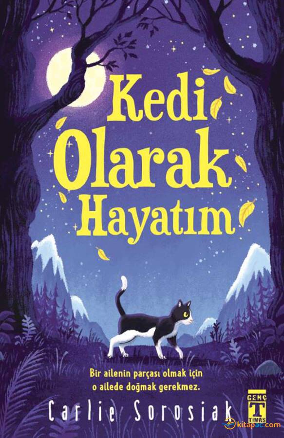 KEDİ OLARAK HAYATIM Carlie Soroisak - 1