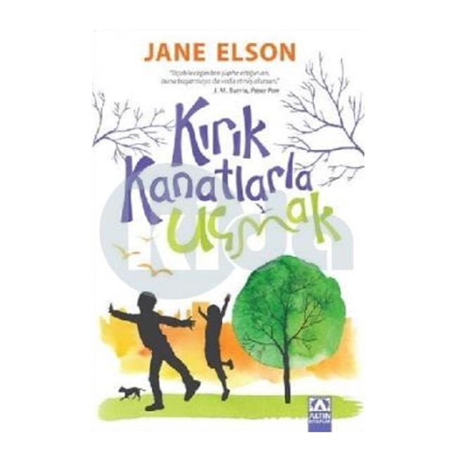 KIRIK KANATLARLA UÇMAK - ALTIN KİTAPLAR