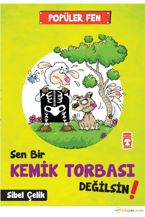 SEN BİR KEMİK TORBASI DEĞİLSİN - POPÜLER FEN - 1