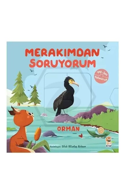 MERAKIMDAN SORUYORUM - ORMAN - Sincap Kitap