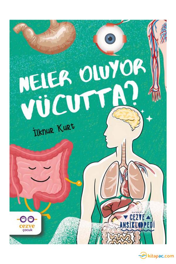 NELER OLUYOR VÜCUTTA ? - 1