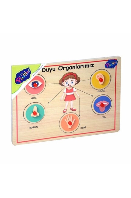 ONYIL PLAYWOOD AHŞAP TUTMALI ORGANLAR - ONYIL OYUNCAK