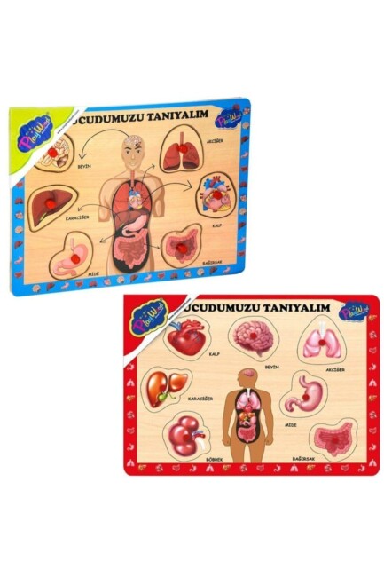 ONYIL PLAYWOOD AHŞAP TUTMALI VÜCUDUMUZU TANIYALIM - ONYIL OYUNCAK