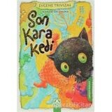 SON KARA KEDİ - ALTIN KİTAPLAR