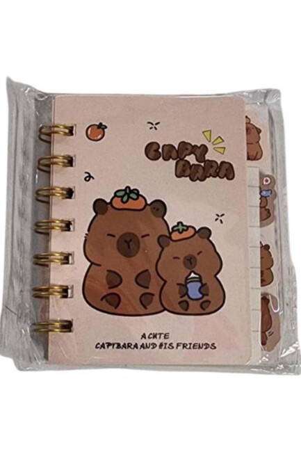 TAROS UNICK COLOR CAPY BARA SEPARATÖRLÜ NOT DEFTERİ - TAROS