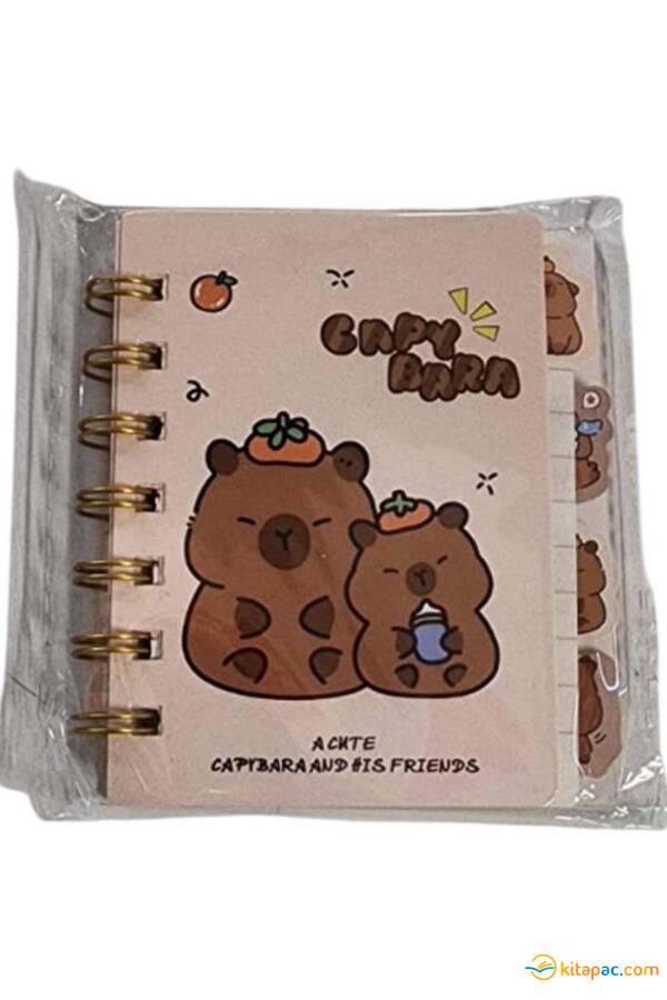 TAROS UNICK COLOR CAPY BARA SEPARATÖRLÜ NOT DEFTERİ - 1